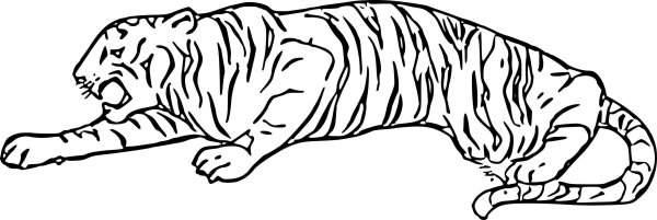 Лежачий тигр раскраска