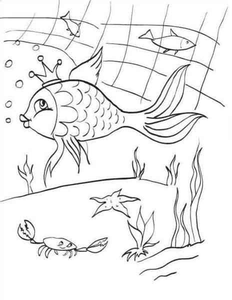 Раскраска Золотая рыбка из сказки о рыбаке и рыбке