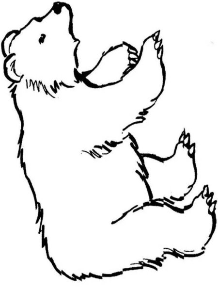 Лиса и медведь раскраска