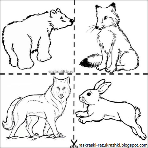 Рисунки диких животных для детей
