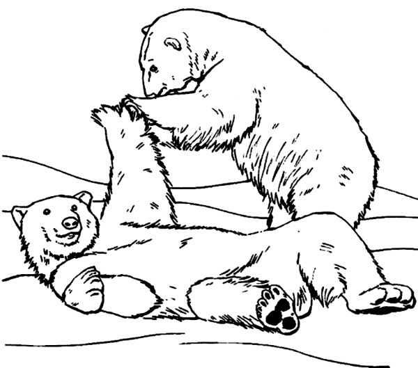 Раскраски медведь и собачка (45 фото)
