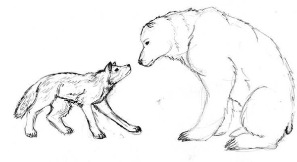 Медведь и волк раскраска