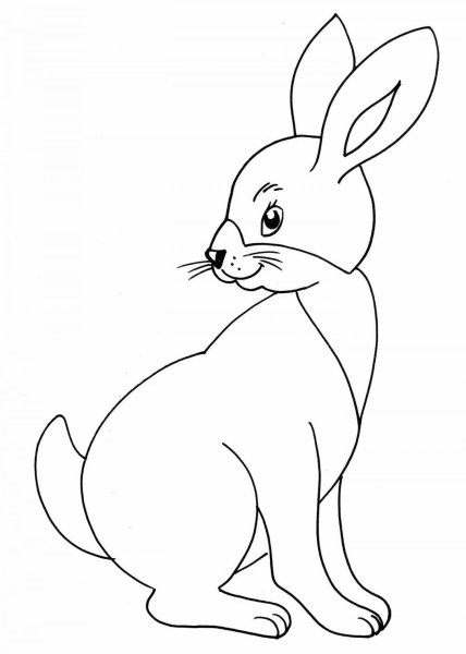 Раскраска заяц и белка