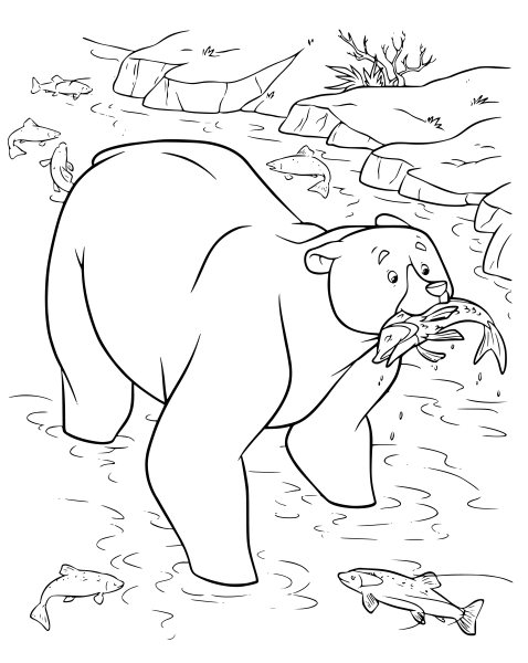 Медведь ловит рыбу раскраска