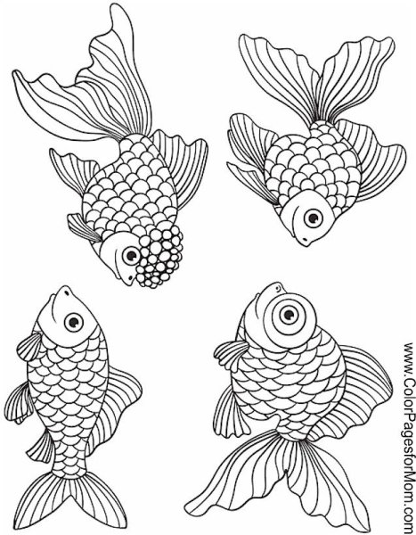 Мелкие рыбки раскраска