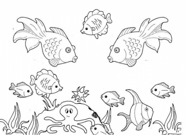 Аквариумные рыбки раскраска