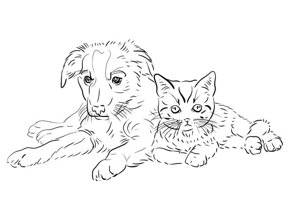 Разукрашки кошки и собаки