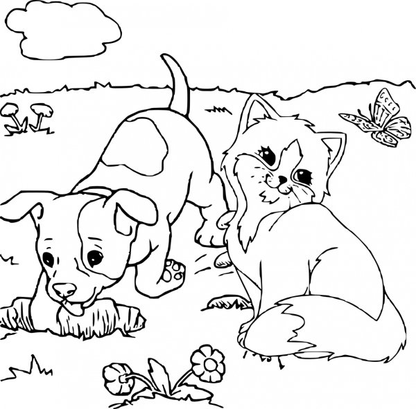 Раскраски милые кошки и собака (45 фото)