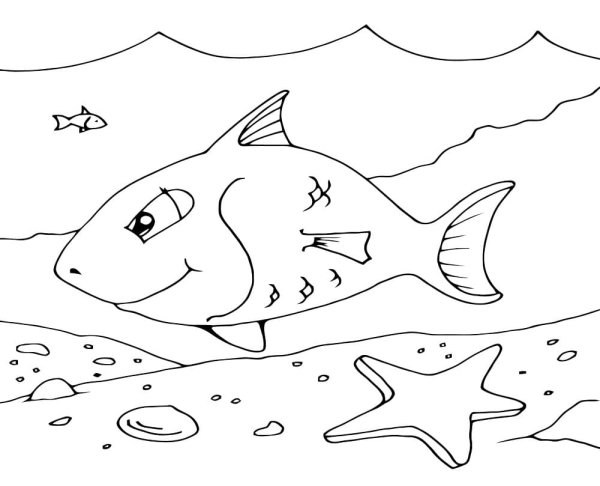 Морские рыбы раскраска для детей