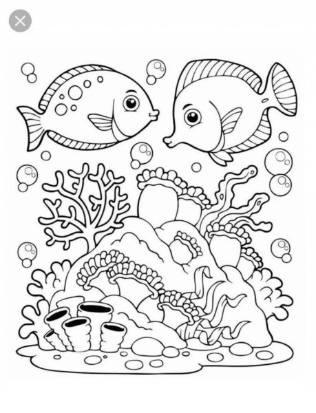 Раскраска кораллы и рыбки