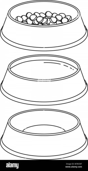 Раскраска миска для кошки с кормом