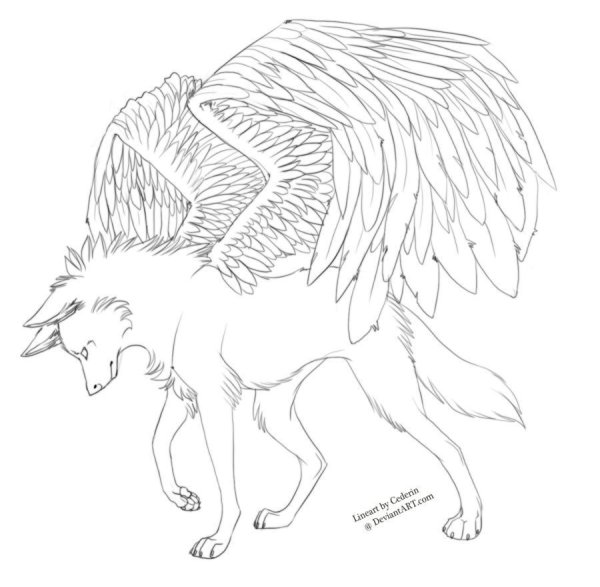 Раскраски волки с крыльями