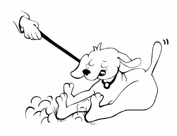 Михалков щенок раскраска