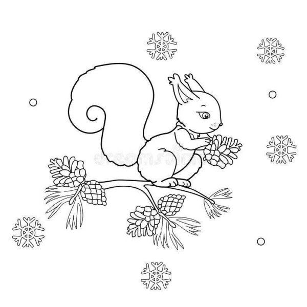 Новогодняя раскраска (белка)