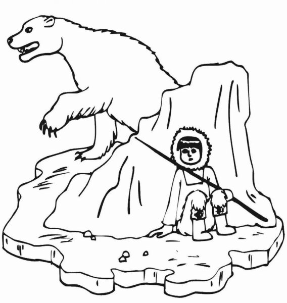 Полярный медведь раскраска