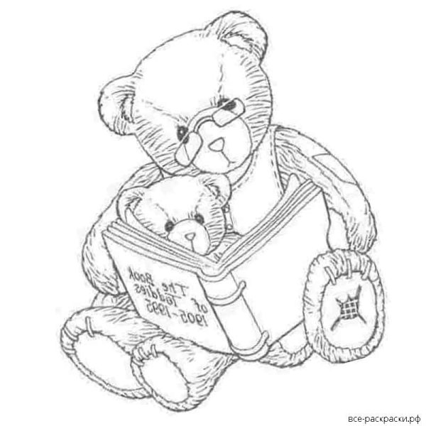 Раскраска медведь с книжкой