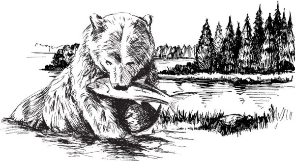 Медведь с рыбой вектор