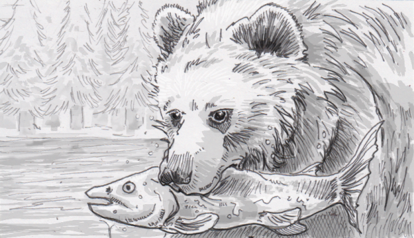 Медведь с рыбой карандашом