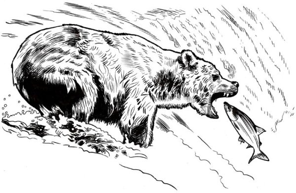 Рисунки для выжигания медведь