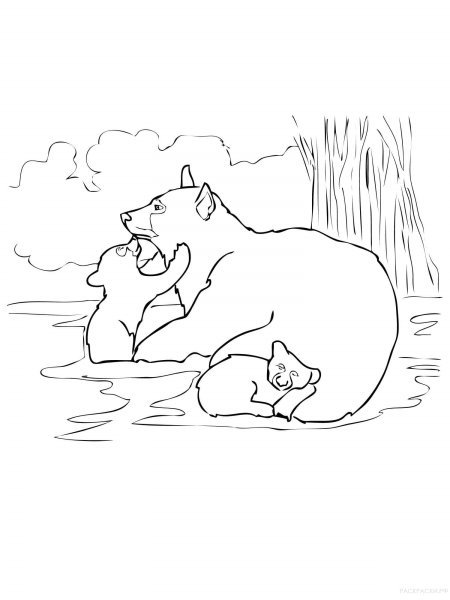 Раскраска купание медвежат Бианки