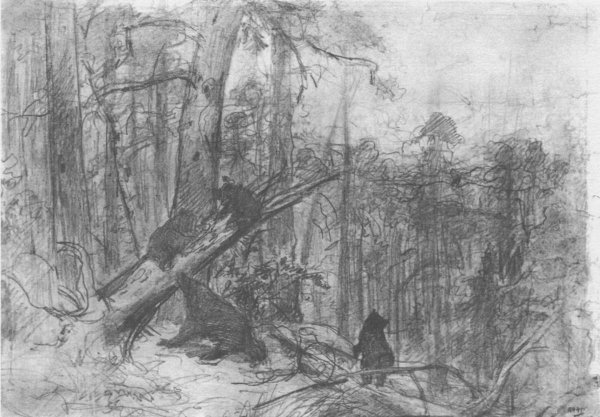 Картины Ивана Шишкина "утро в Сосновом лесу, 1889"