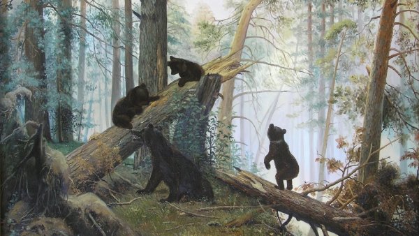 Утро в Сосновом лесу, Шишкин, 1889