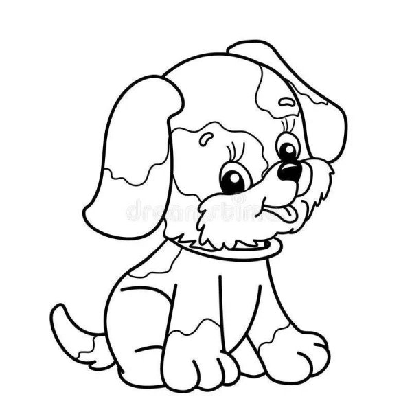 Собачка Соня раскраска для детей