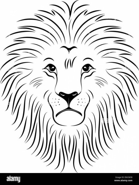 Голова Льва без гривы