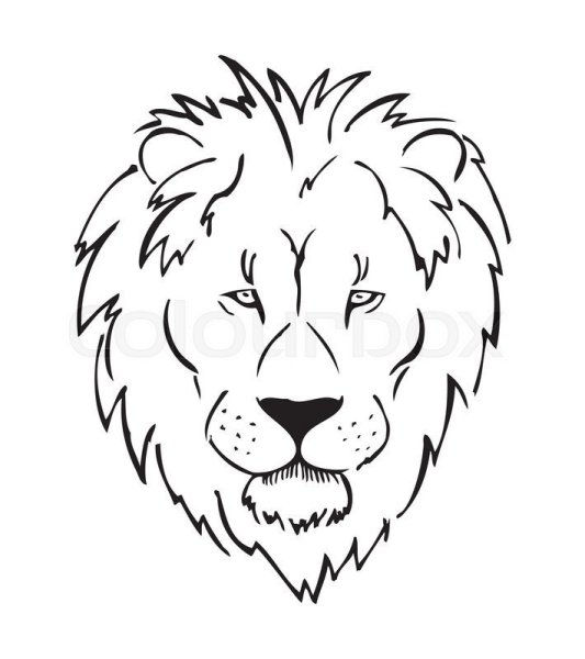 Мордочка Льва для рисования