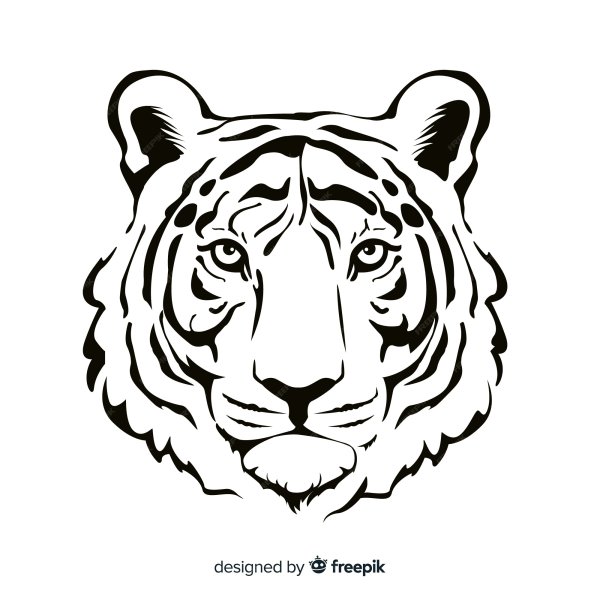 Раскраски мордочка тигра (44 фото)