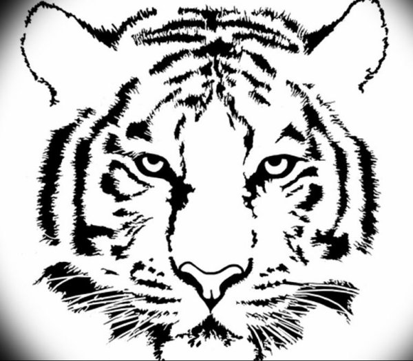 Лицо тигра раскраска