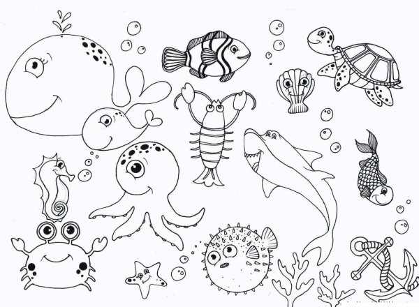 Морские обитатели раскраски для детей
