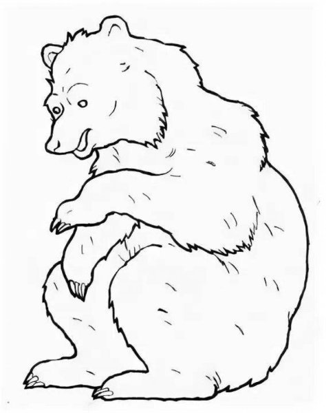 Медведь и человек раскраска