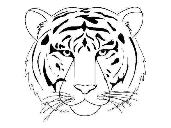 Картинки тигров для срисовки