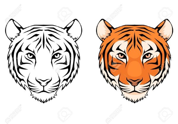 Тигр контур лицо