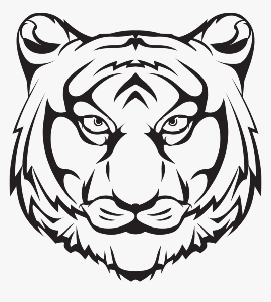 Тигр голова рисунок