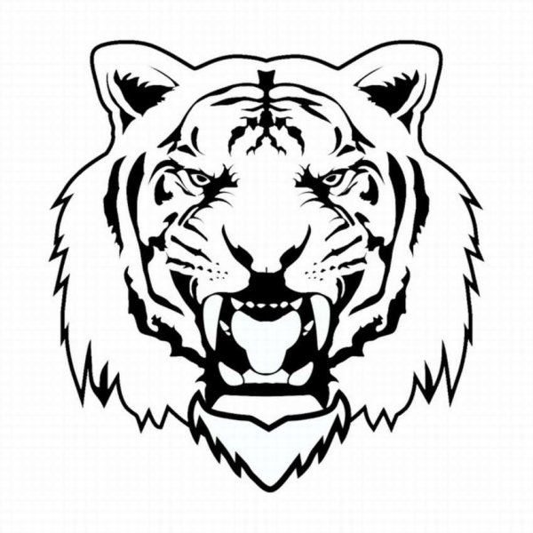 Раскраска тигр голова
