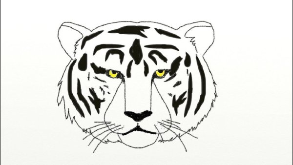 Простой рисунок тигра