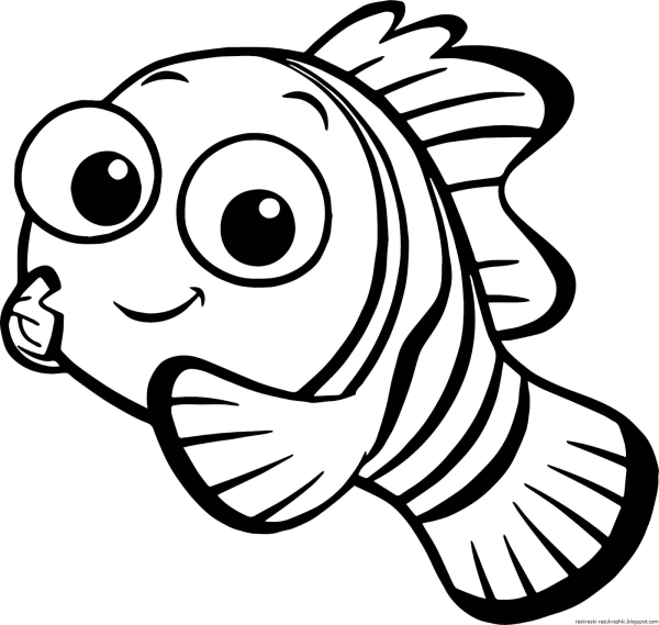 Рыба клоун детская разукрашка
