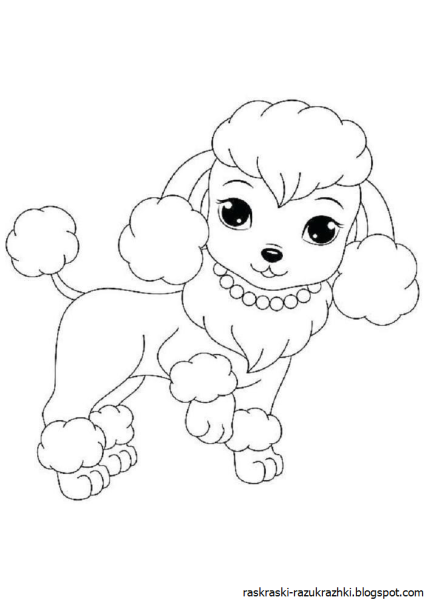 Раскраска Шарлотта Земляничка собаки