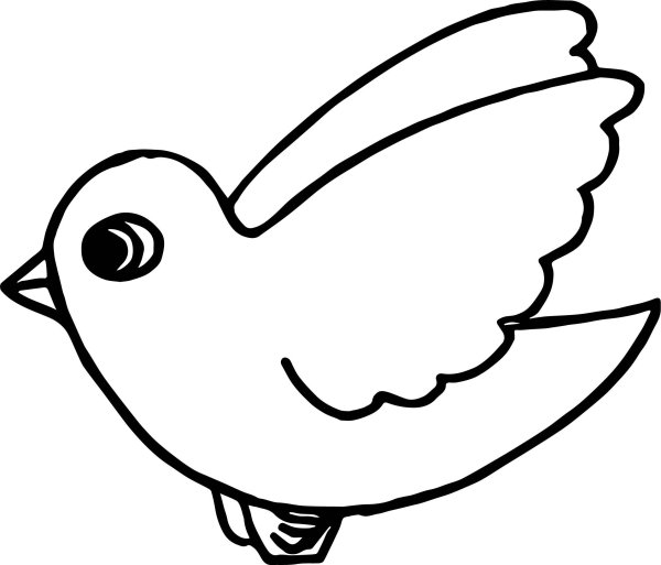 Попугай раскраска для детей