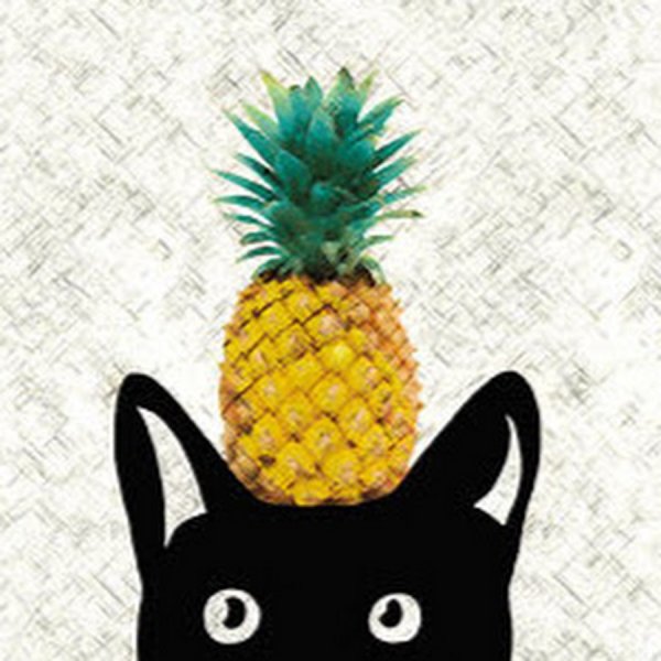 Кот ананас