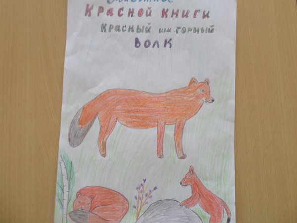 Красная книга рисунок