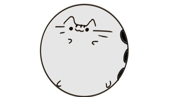 Круглый кот рисунок