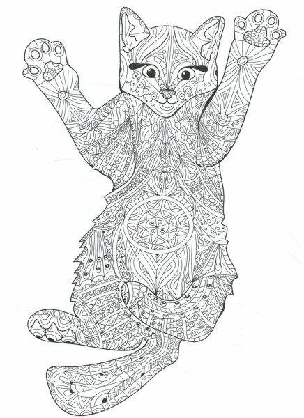 Раскраска антистресс котики