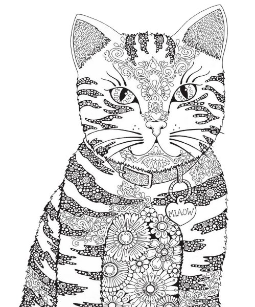 Раскраска Мандала котик