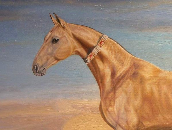 Ахалтекинская лошадь рисунок