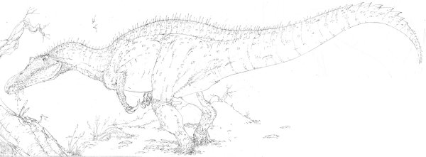 Раскраски барионикс динозавр (48 фото)