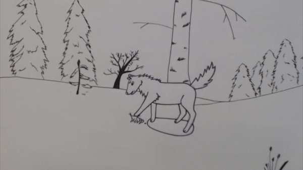 Белка и волк толстой раскраска
