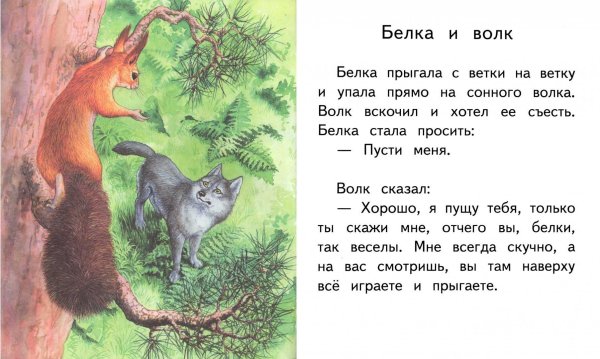 Рассказ Льва Николаевича Толстого белка и волк